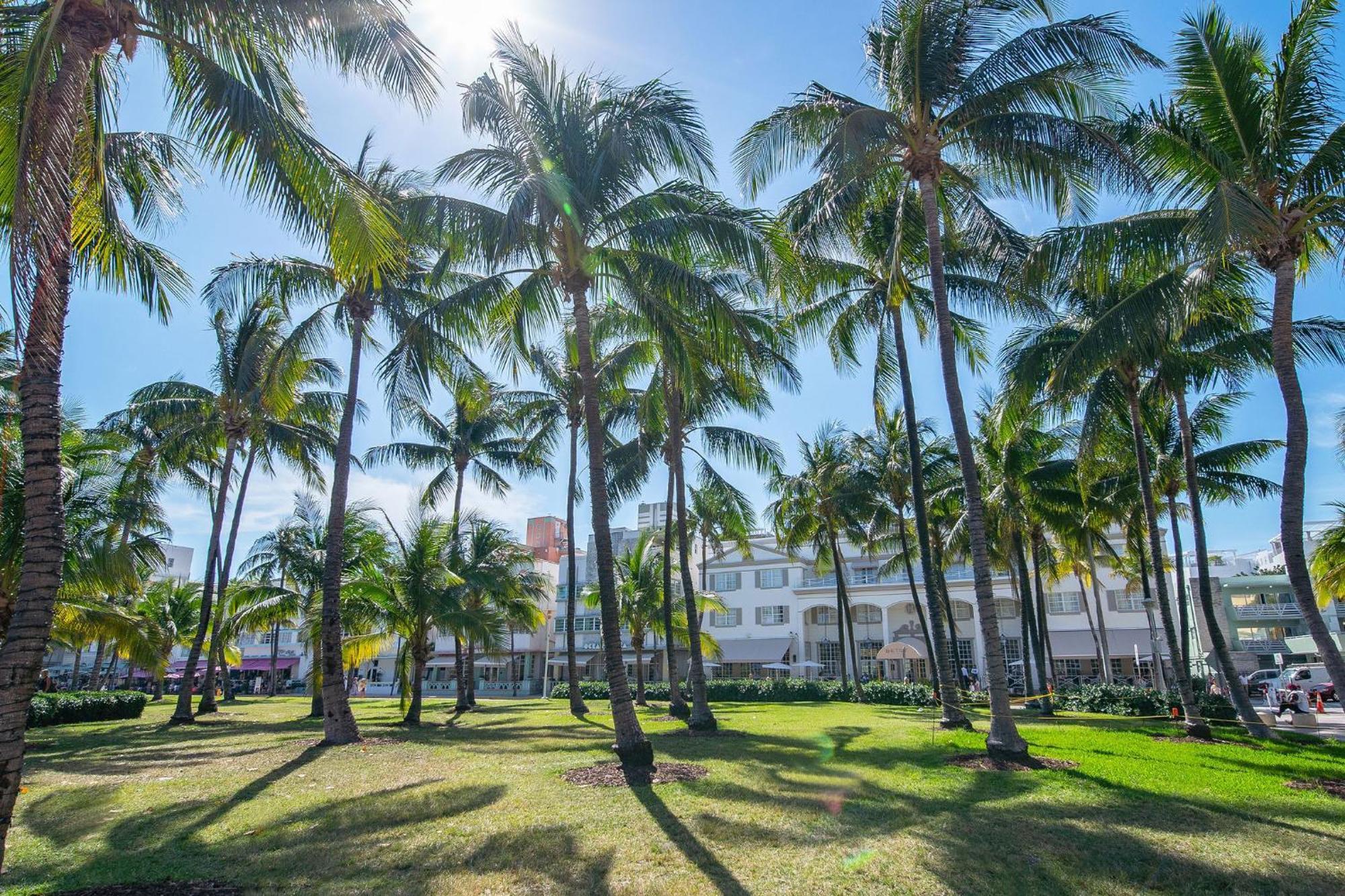 Cozy South Beach 1Br Apt Near Beach & Ocean Drive Miami Beach Exteriör bild